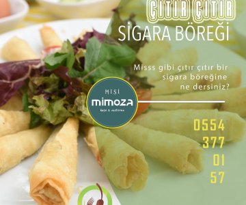 Sigara Böreği